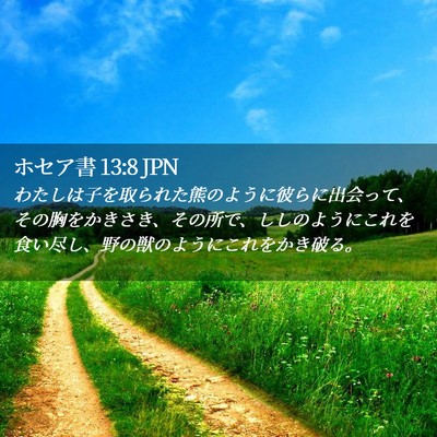 Picture 02 - ホセア書 13:8 JPN - わたしは子を取られた熊のように彼 - Bible Verse Picture
