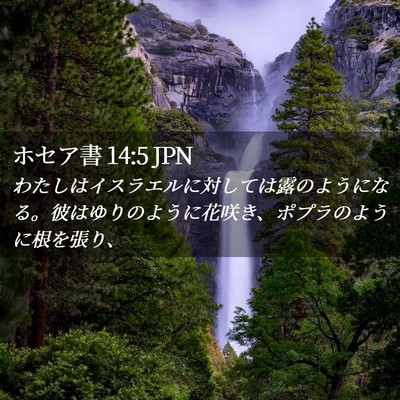 Picture 02 - ホセア書 14:5 JPN - わたしはイスラエルに対しては露の - Bible Verse Picture
