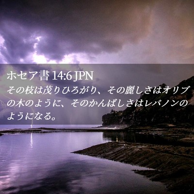 Picture 02 - ホセア書 14:6 JPN - その枝は茂りひろがり、その麗しさ - Bible Verse Picture