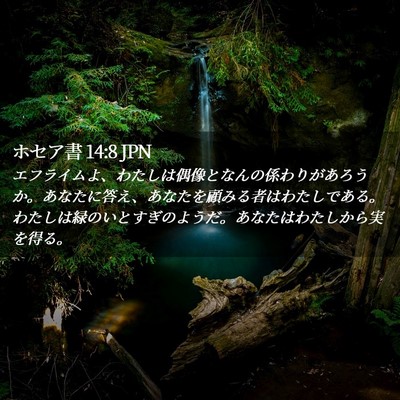 Picture 02 - ホセア書 14:8 JPN - エフライムよ、わたしは偶像となん - Bible Verse Picture