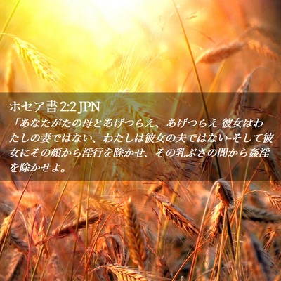 Picture 02 - ホセア書 2:2 JPN - 「あなたがたの母とあげつらえ、あ - Bible Verse Picture