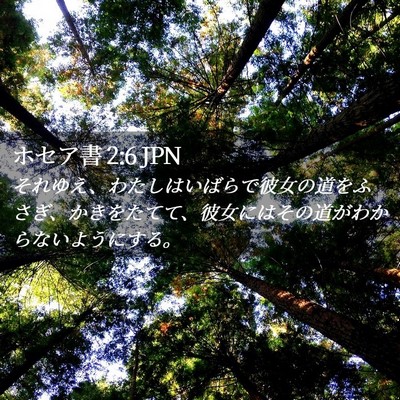 Picture 02 - ホセア書 2:6 JPN - それゆえ、わたしはいばらで彼女の - Bible Verse Picture