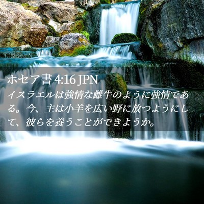 Picture 02 - ホセア書 4:16 JPN - イスラエルは強情な雌牛のように強 - Bible Verse Picture