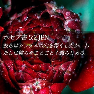 Picture 02 - ホセア書 5:2 JPN - 彼らはシッテムの穴を深くしたが、 - Bible Verse Picture