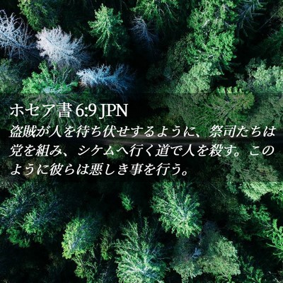 Picture 02 - ホセア書 6:9 JPN - 盗賊が人を待ち伏せするように、祭 - Bible Verse Picture