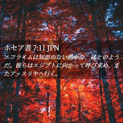 Picture 02 - ホセア書 7:11 JPN - エフライムは知恵のない愚かな、は - Bible Verse Picture