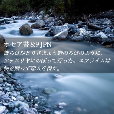 Picture 02 - ホセア書 8:9 JPN - 彼らはひとりさまよう野のろばのよ - Bible Verse Picture