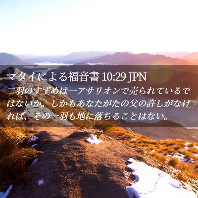Picture 02 - マタイによる福音書 10:29 JPN - 二羽のすずめは一アサリオンで売ら - Bible Verse Picture