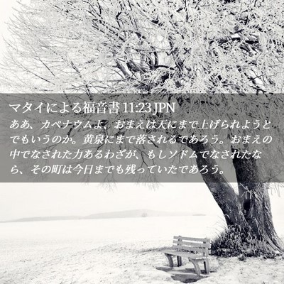 Picture 02 - マタイによる福音書 11:23 JPN - ああ、カペナウムよ、おまえは天に - Bible Verse Picture