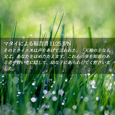 Picture 02 - マタイによる福音書 11:25 JPN - そのときイエスは声をあげて言われ - Bible Verse Picture