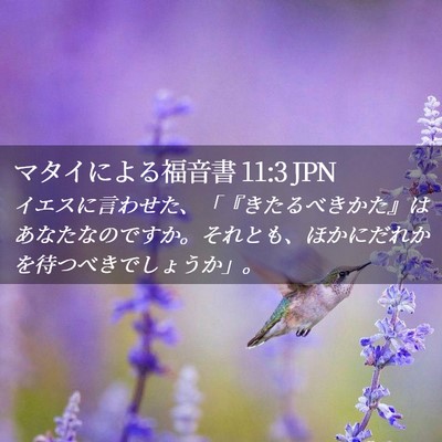 Picture 02 - マタイによる福音書 11:3 JPN - イエスに言わせた、「『きたるべき - Bible Verse Picture