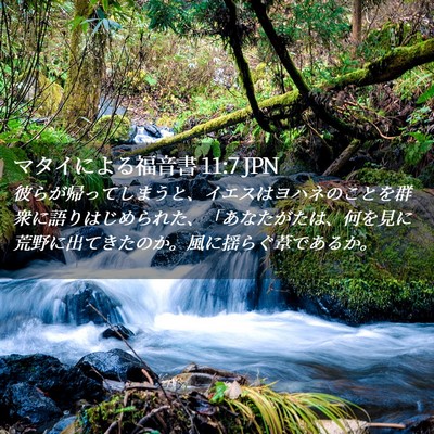 Picture 02 - マタイによる福音書 11:7 JPN - 彼らが帰ってしまうと、イエスはヨ - Bible Verse Picture
