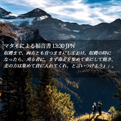 Picture 02 - マタイによる福音書 13:30 JPN - 収穫まで、両方とも育つままにして - Bible Verse Picture