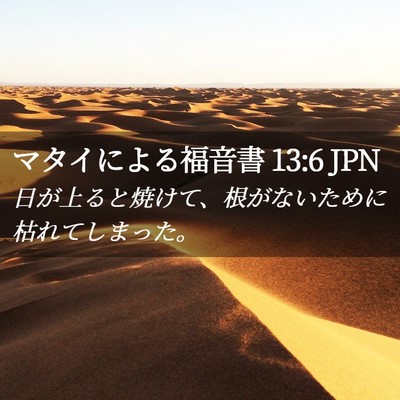 Picture 02 - マタイによる福音書 13:6 JPN - 日が上ると焼けて、根がないために - Bible Verse Picture