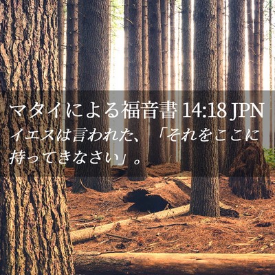 Picture 02 - マタイによる福音書 14:18 JPN - イエスは言われた、「それをここに - Bible Verse Picture