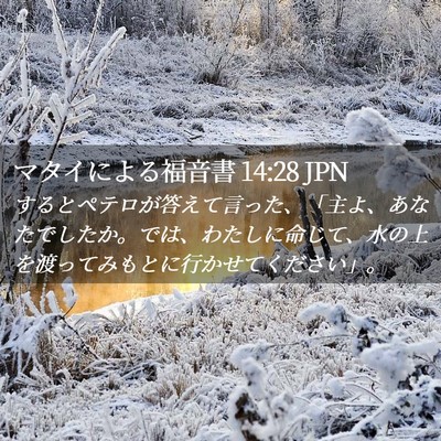 Picture 02 - マタイによる福音書 14:28 JPN - するとペテロが答えて言った、「主 - Bible Verse Picture