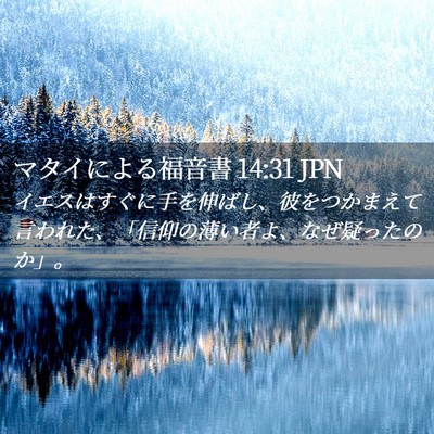 Picture 02 - マタイによる福音書 14:31 JPN - イエスはすぐに手を伸ばし、彼をつ - Bible Verse Picture