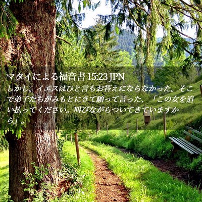 Picture 02 - マタイによる福音書 15:23 JPN - しかし、イエスはひと言もお答えに - Bible Verse Picture