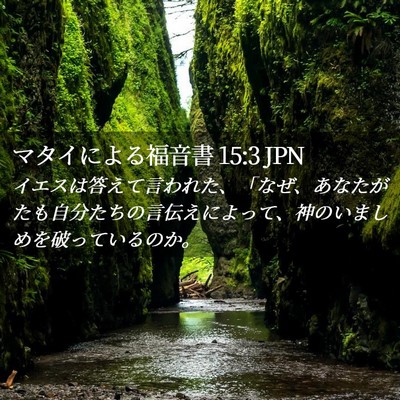 Picture 02 - マタイによる福音書 15:3 JPN - イエスは答えて言われた、「なぜ、 - Bible Verse Picture