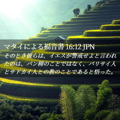 Picture 02 - マタイによる福音書 16:12 JPN - そのとき彼らは、イエスが警戒せよ - Bible Verse Picture