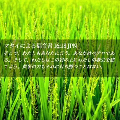 Picture 02 - マタイによる福音書 16:18 JPN - そこで、わたしもあなたに言う。あ - Bible Verse Picture