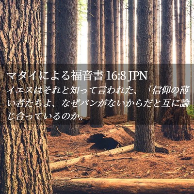 Picture 02 - マタイによる福音書 16:8 JPN - イエスはそれと知って言われた、「 - Bible Verse Picture