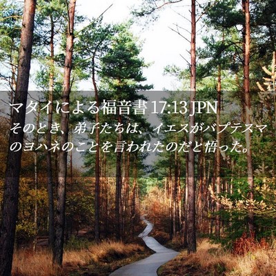 Picture 02 - マタイによる福音書 17:13 JPN - そのとき、弟子たちは、イエスがバ - Bible Verse Picture