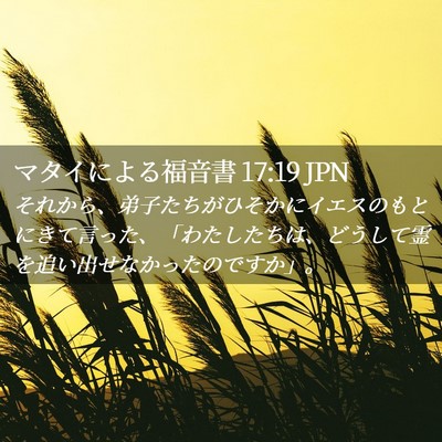 Picture 02 - マタイによる福音書 17:19 JPN - それから、弟子たちがひそかにイエ - Bible Verse Picture