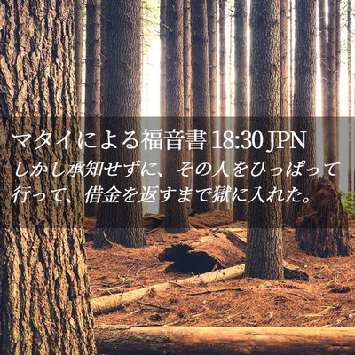 Picture 02 - マタイによる福音書 18:30 JPN - しかし承知せずに、その人をひっぱ - Bible Verse Picture