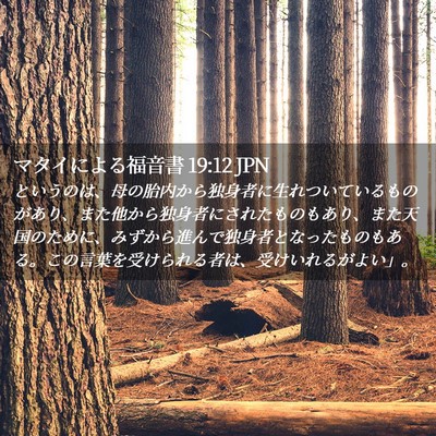 Picture 02 - マタイによる福音書 19:12 JPN - というのは、母の胎内から独身者に - Bible Verse Picture
