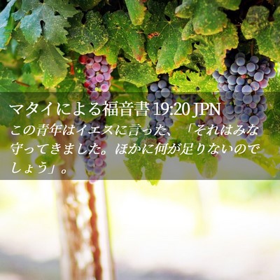 Picture 02 - マタイによる福音書 19:20 JPN - この青年はイエスに言った、「それ - Bible Verse Picture