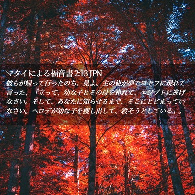 Picture 02 - マタイによる福音書 2:13 JPN - 彼らが帰って行ったのち、見よ、主 - Bible Verse Picture