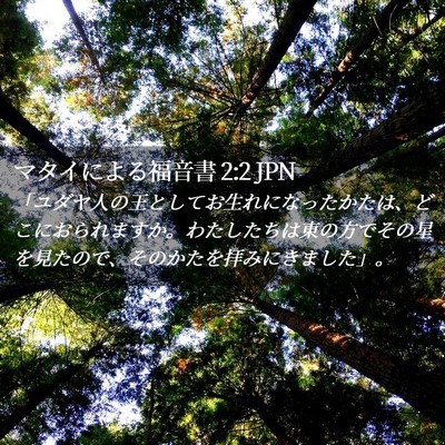 Picture 02 - マタイによる福音書 2:2 JPN - 「ユダヤ人の王としてお生れになっ - Bible Verse Picture