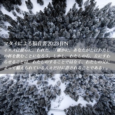 Picture 02 - マタイによる福音書 20:23 JPN - イエスは彼らに言われた、「確かに - Bible Verse Picture