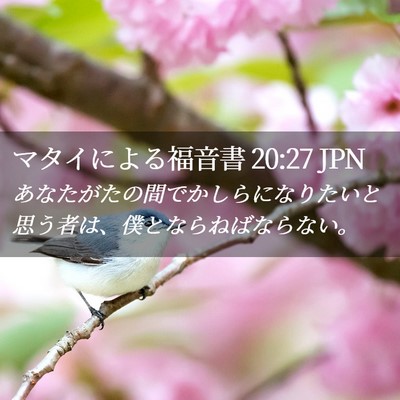 Picture 02 - マタイによる福音書 20:27 JPN - あなたがたの間でかしらになりたい - Bible Verse Picture