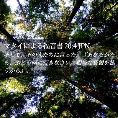 Picture 02 - マタイによる福音書 20:4 JPN - そして、その人たちに言った、『あ - Bible Verse Picture