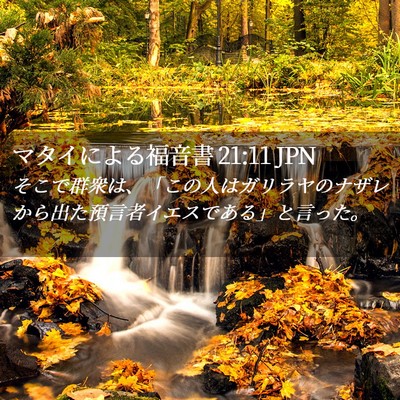 Picture 02 - マタイによる福音書 21:11 JPN - そこで群衆は、「この人はガリラヤ - Bible Verse Picture