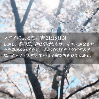 Picture 02 - マタイによる福音書 21:15 JPN - しかし、祭司長、律法学者たちは、 - Bible Verse Picture