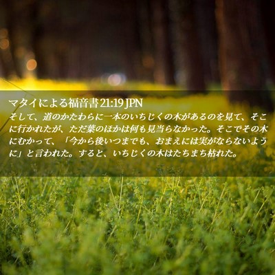 Picture 02 - マタイによる福音書 21:19 JPN - そして、道のかたわらに一本のいち - Bible Verse Picture