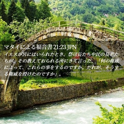 Picture 02 - マタイによる福音書 21:23 JPN - イエスが宮にはいられたとき、祭司 - Bible Verse Picture