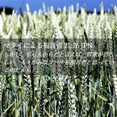 Picture 02 - マタイによる福音書 21:26 JPN - しかし、もし人からだと言えば、群 - Bible Verse Picture