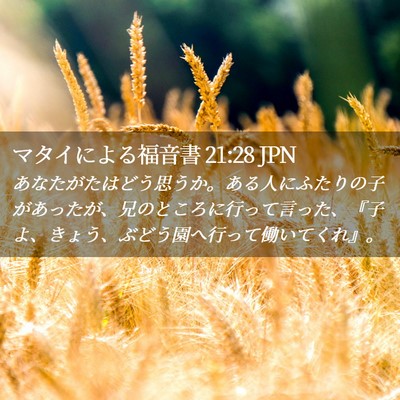 Picture 02 - マタイによる福音書 21:28 JPN - あなたがたはどう思うか。ある人に - Bible Verse Picture