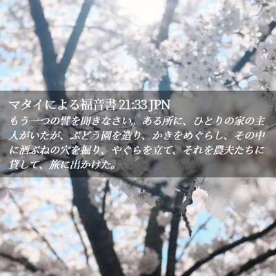 Picture 02 - マタイによる福音書 21:33 JPN - もう一つの譬を聞きなさい。ある所 - Bible Verse Picture