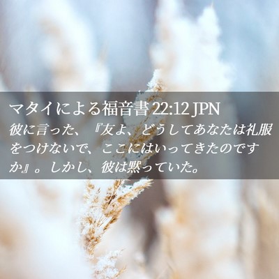 Picture 02 - マタイによる福音書 22:12 JPN - 彼に言った、『友よ、どうしてあな - Bible Verse Picture