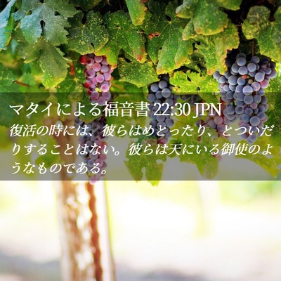 Picture 02 - マタイによる福音書 22:30 JPN - 復活の時には、彼らはめとったり、 - Bible Verse Picture