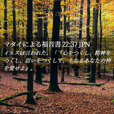 Picture 02 - マタイによる福音書 22:37 JPN - イエスは言われた、「『心をつくし - Bible Verse Picture