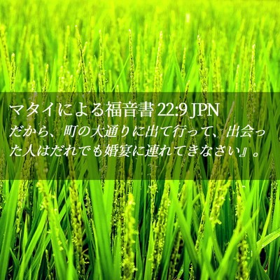 Picture 02 - マタイによる福音書 22:9 JPN - だから、町の大通りに出て行って、 - Bible Verse Picture