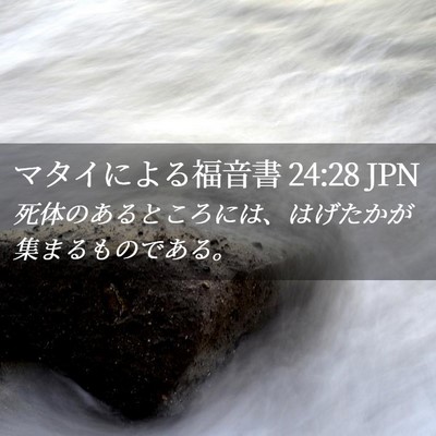 Picture 02 - マタイによる福音書 24:28 JPN - 死体のあるところには、はげたかが - Bible Verse Picture