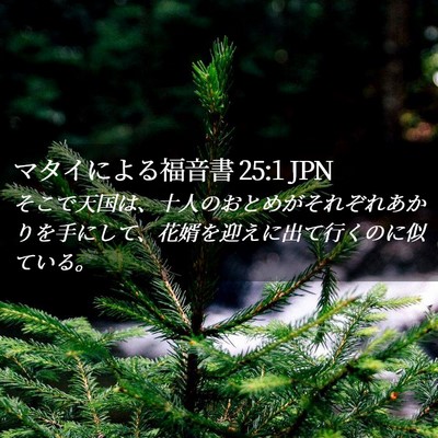 Picture 02 - マタイによる福音書 25:1 JPN - そこで天国は、十人のおとめがそれ - Bible Verse Picture