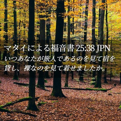 Picture 02 - マタイによる福音書 25:38 JPN - いつあなたが旅人であるのを見て宿 - Bible Verse Picture